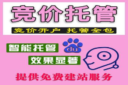 百度竞价代运营实战案例分析